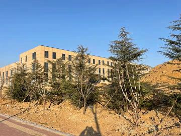 亚洲精品白浆高清久久久久久