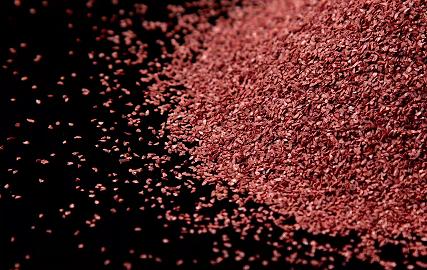 亚洲精品白浆高清久久久久久